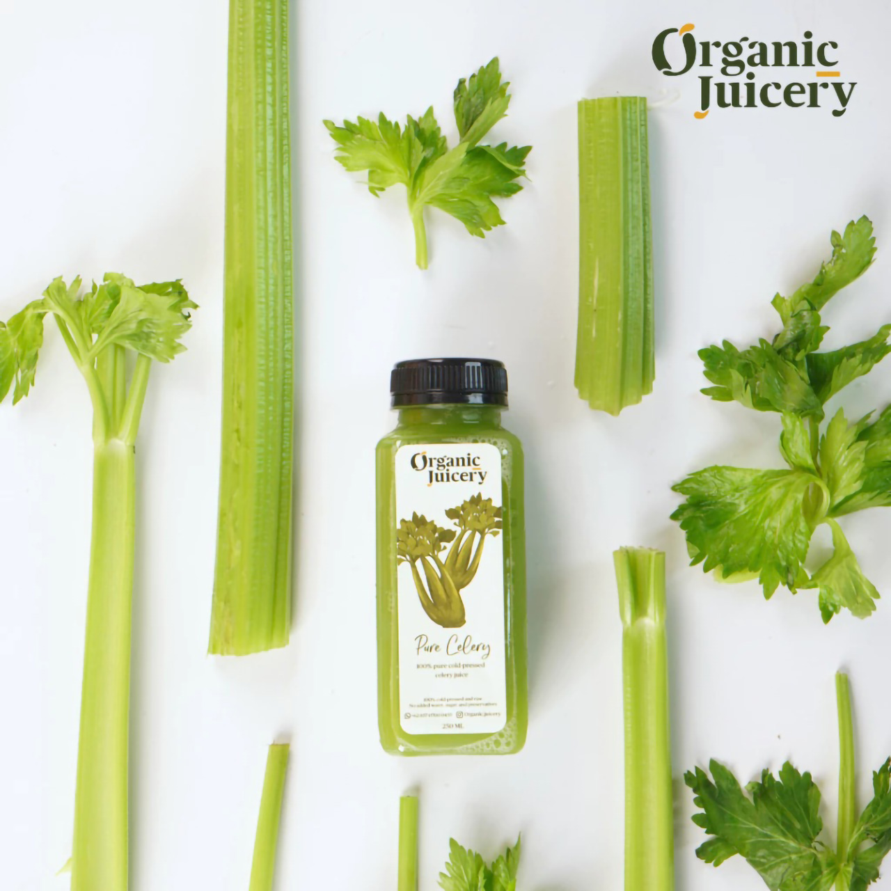 Organic Juicery Cold Pressed Juice Pure Celery Juice