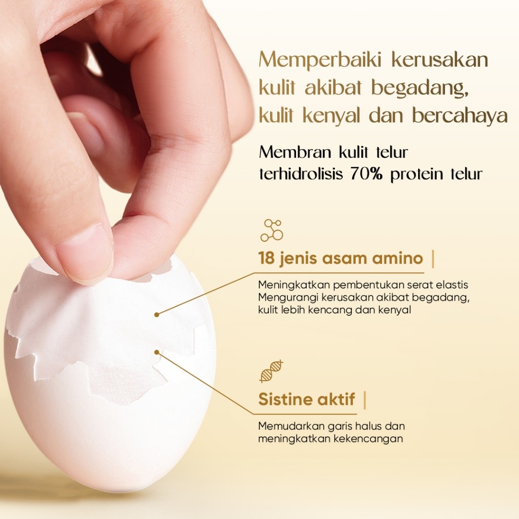 Anugerah Inovasi Sejahtera EGG Essence Egg Yeast Eggshell Mask Cream