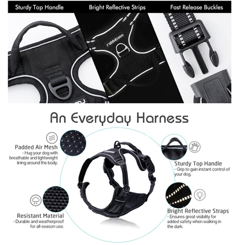 No Pull Dog Harness with 2 Leash Clips 4
