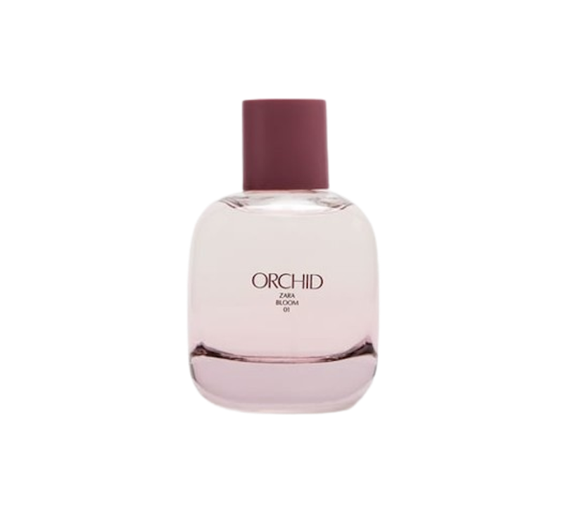 10 Rekomendasi Parfum ZARA Terbaik Terbaru Tahun 2024 mybest