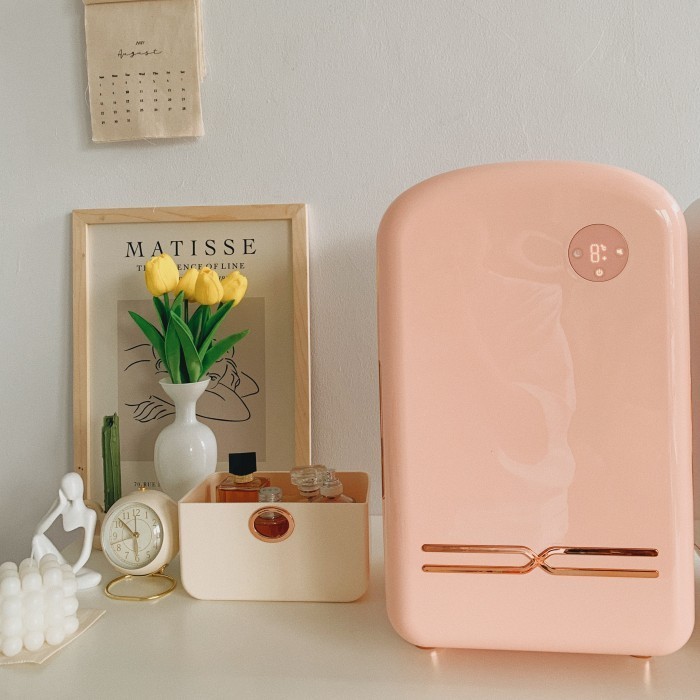  Aesthetic Mini Fridge 12 L