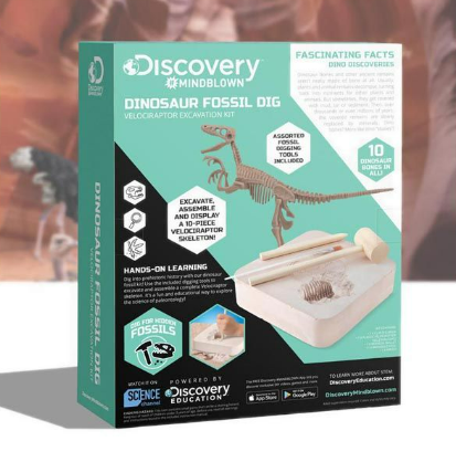 Dinnosaur Fossil Dig 2