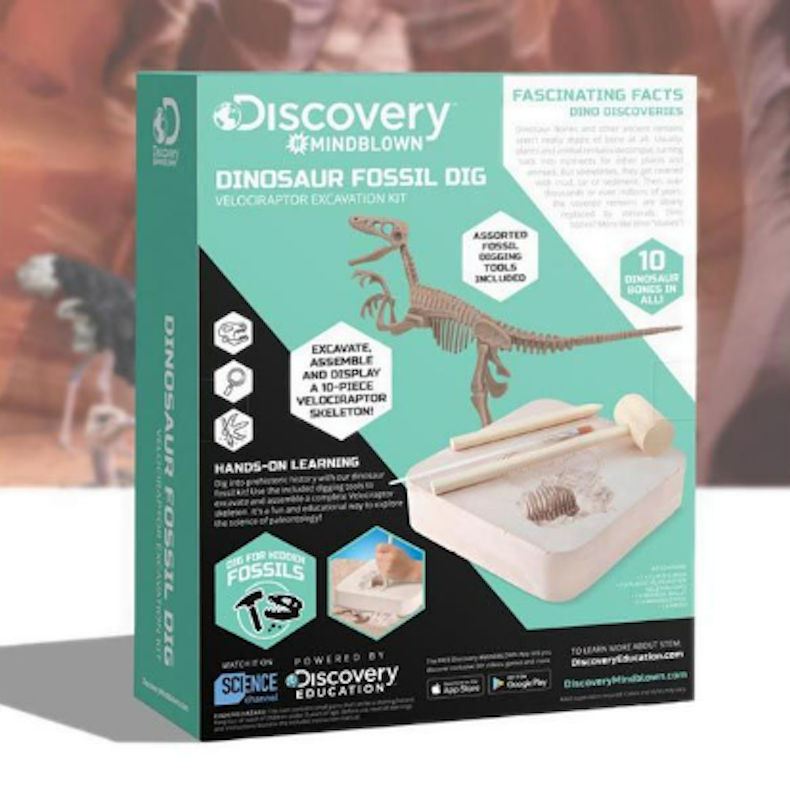 Dinnosaur Fossil Dig 2