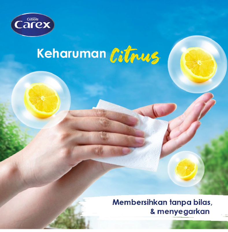 Carex Wipes Refreshing 5