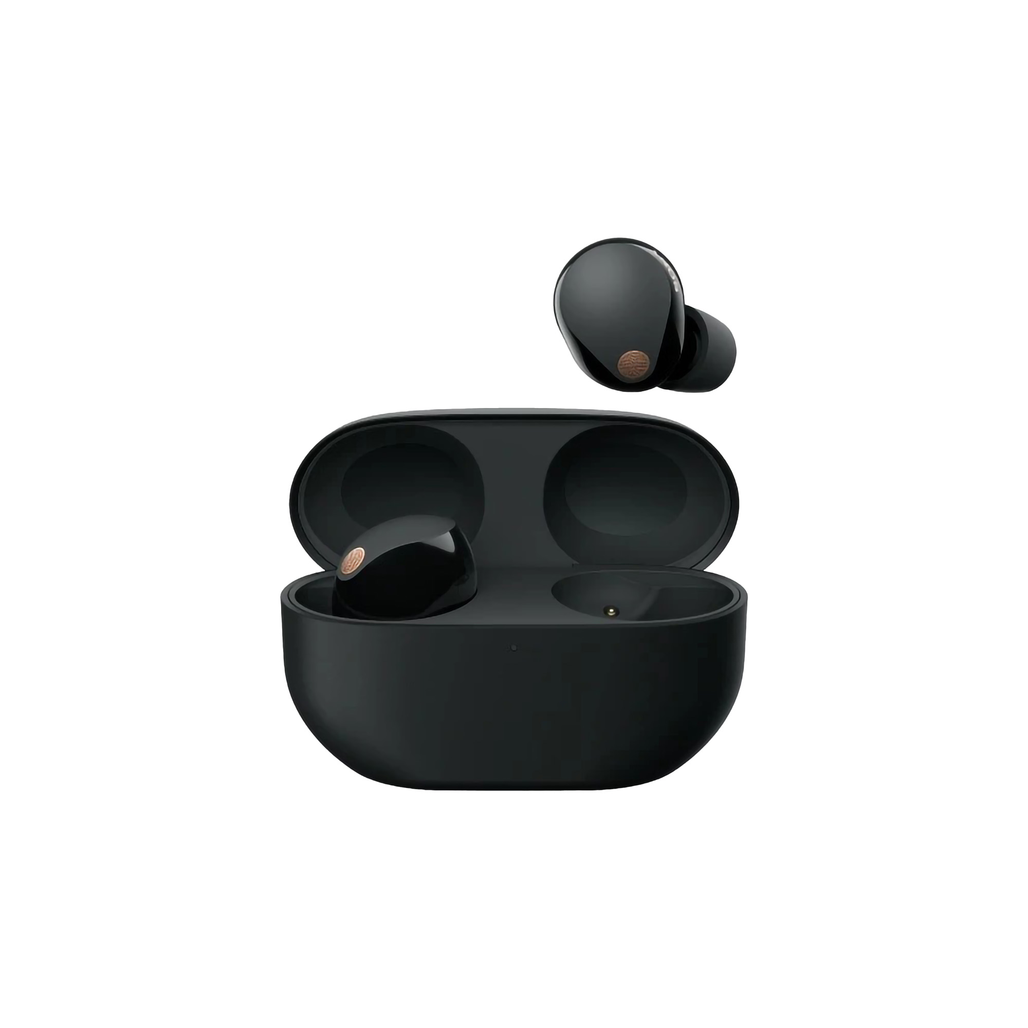 Sony ｜ Noise Cancelling True Wireless Earbuds  ｜ WF-1000XM5