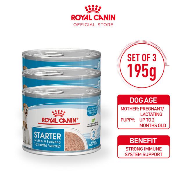 Mars ROYAL CANIN® Starter Mousse Mother & Babydog