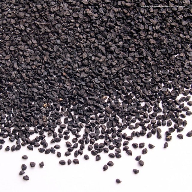 East-West Seed Cap Panah Merah - Benih Bawang Merah Lokananta