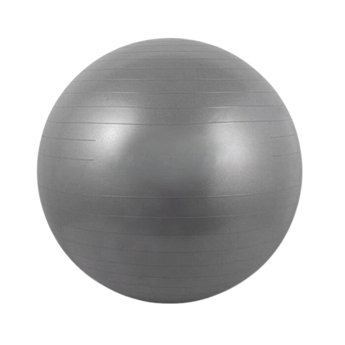 Hoptech Gym Ball Fitness 1
