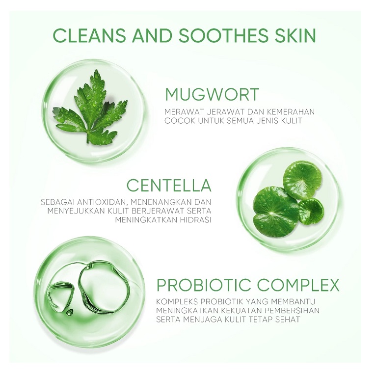 SKINTIFIC Cosmetics SKINTIFIC Mugwort Purifying Micellar Water