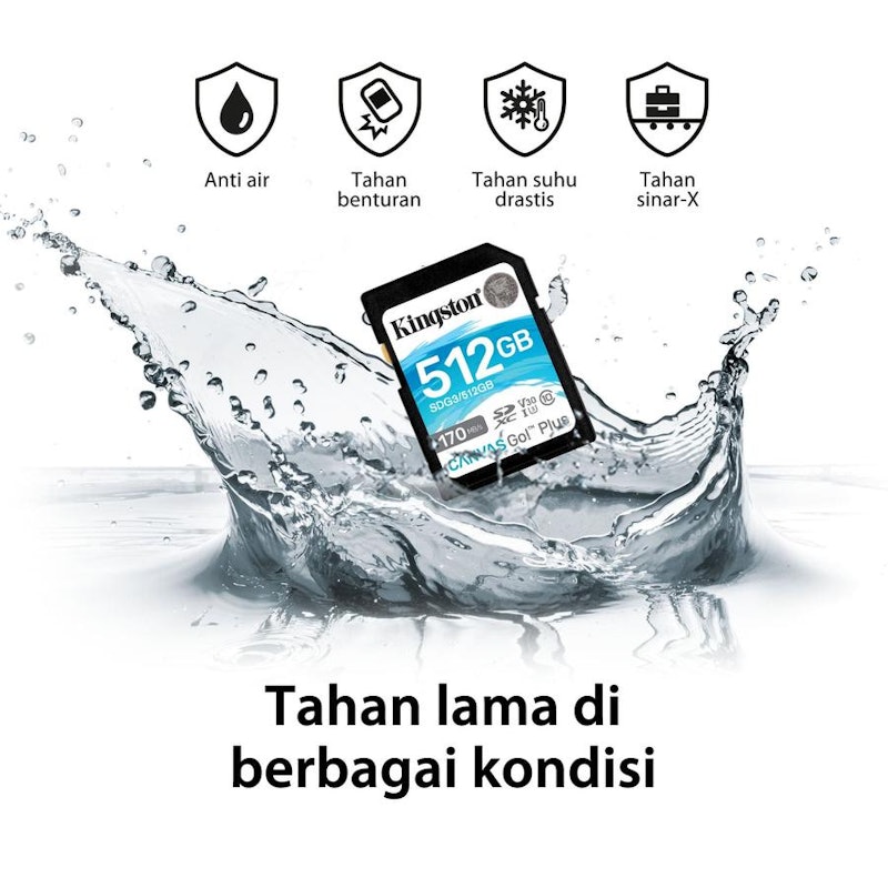 Kingston Canvas Go! Plus SD Memory Card 128GB 4