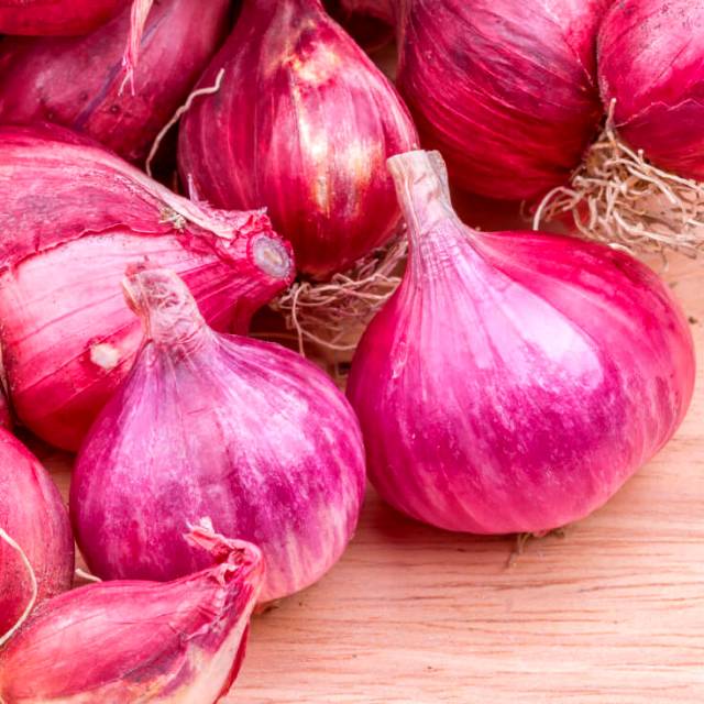  Ninufarm Benih Bawang Merah