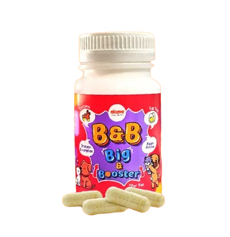 ELOPE Big & Booster  1