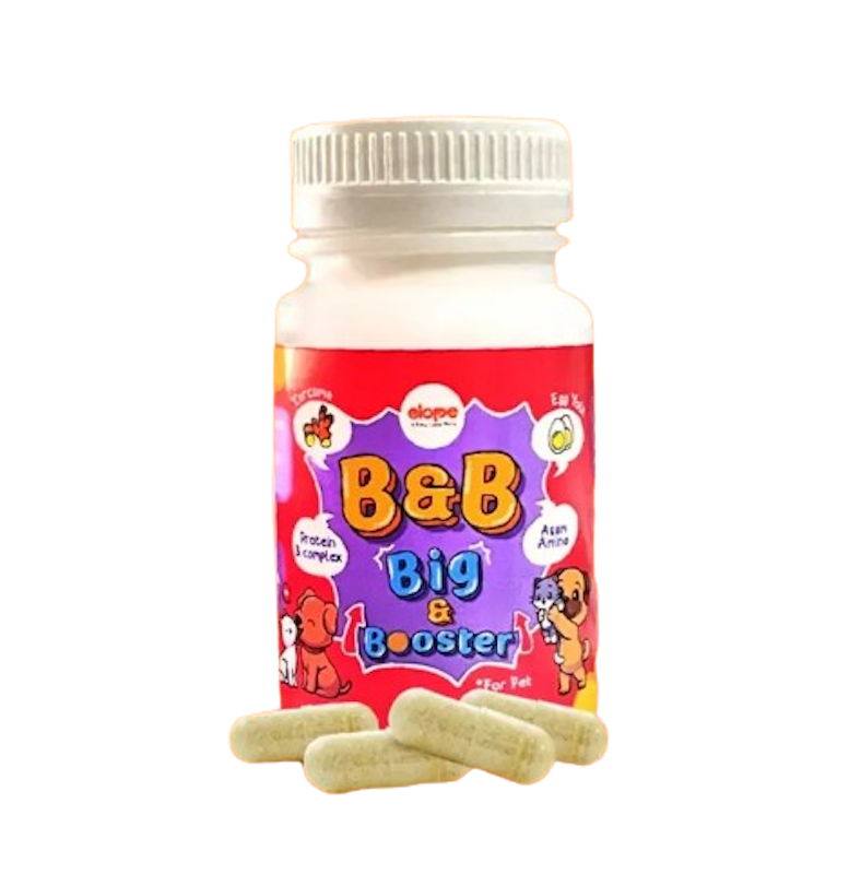 ELOPE Big & Booster 1