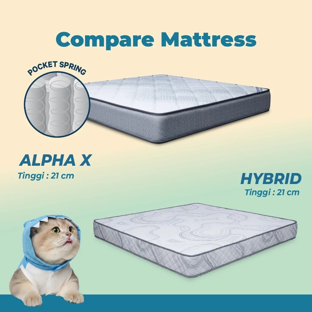 Duta Mas Mandiri In The Box® Alpha X