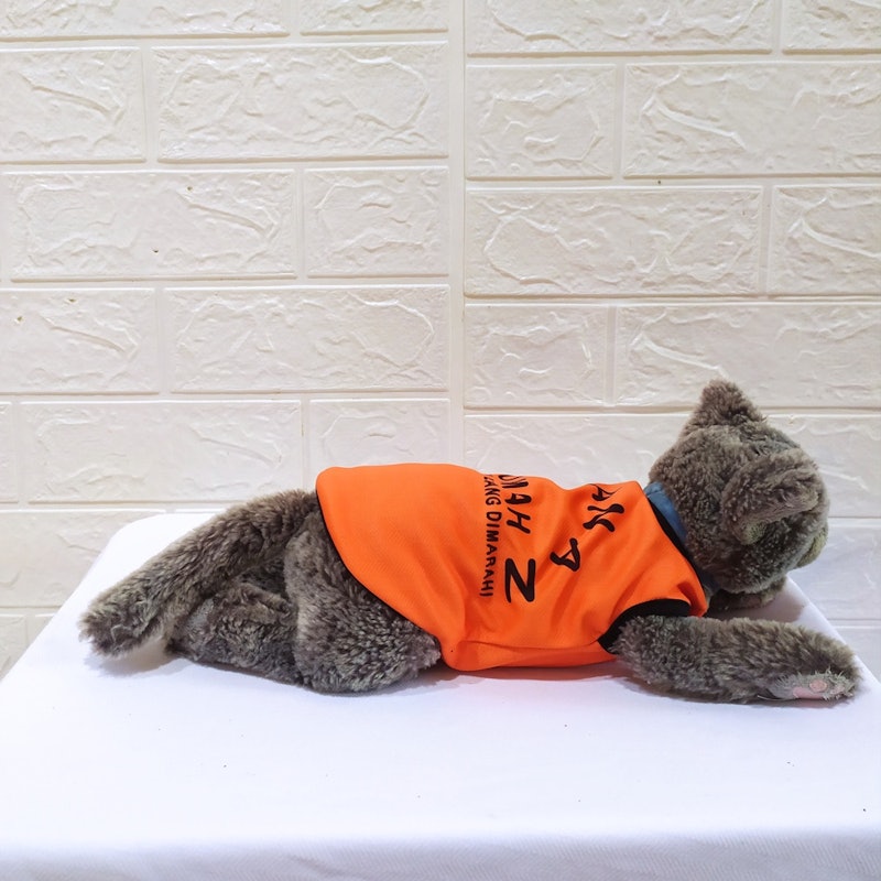 Baju Kucing Model Tahanan Rumah 3