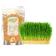 Nutree Seed Benih Rumput Gandum 100 gr 1