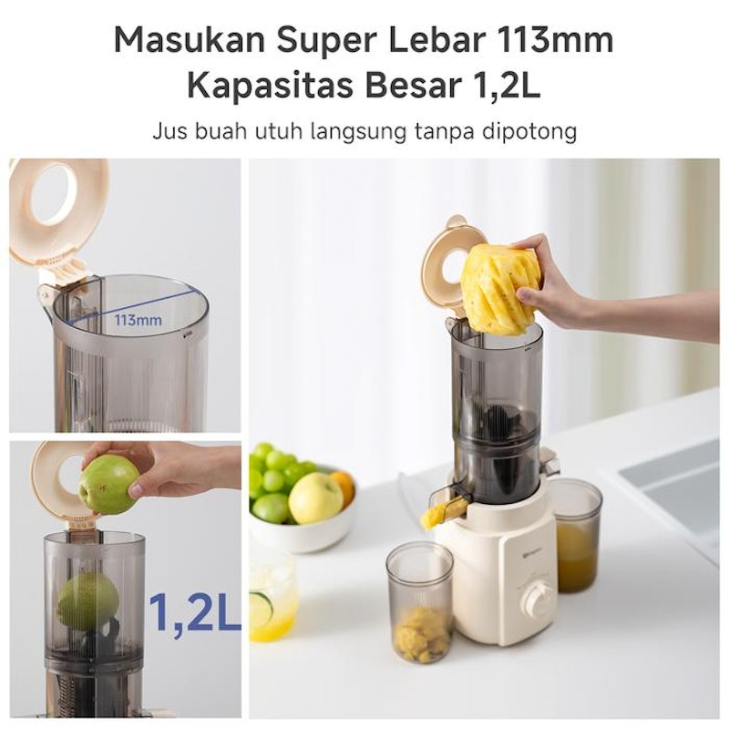 Simplus Clod Press Juicer 3
