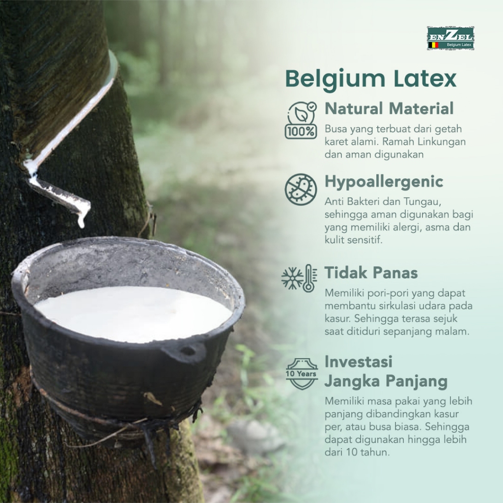 Latexindo Internusa ENZEL Neoclassica