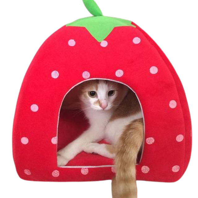 Foldable Strawberry Bed Pet