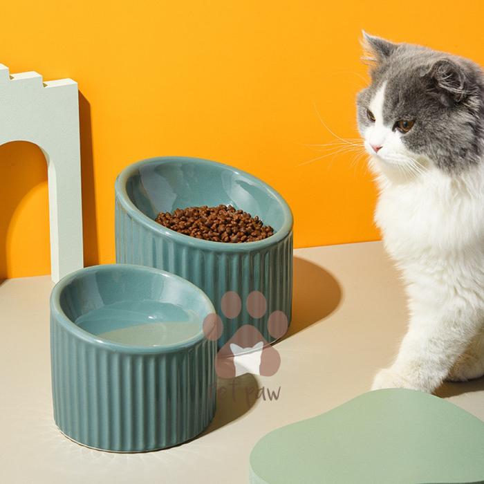  Petpaw Aesthetic Stripe Ceramic Tilted Bowl