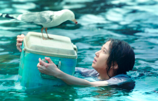 Castaway Diva 4