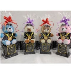 Piala Wisuda Teddy Bear 25 cm