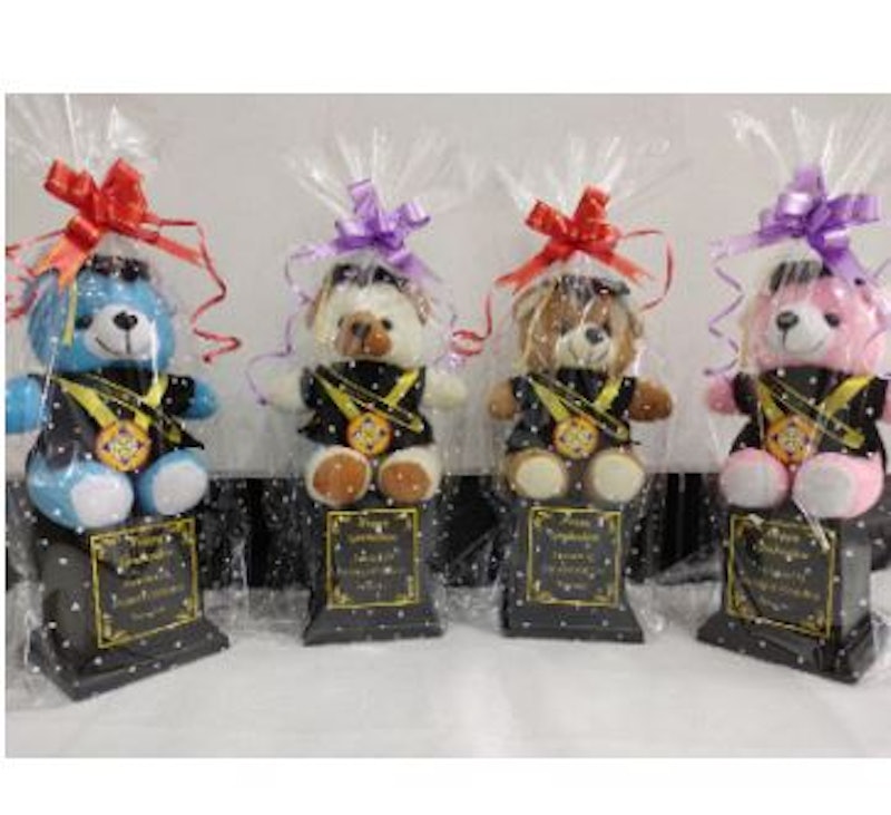 Piala Wisuda Teddy Bear 25 cm 1
