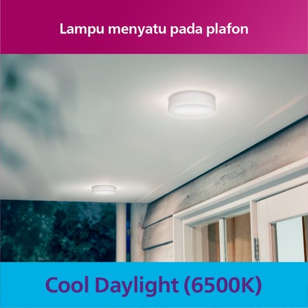 Electronics Nederland B.V. Philips Downlight Meson Outbow 17W White  59472