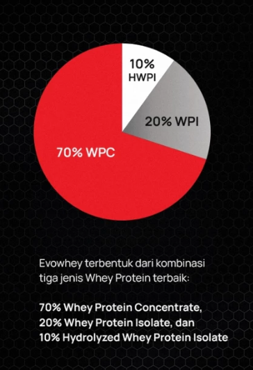 Anugrah Inti Makmur Indonesia Evolene EvoWhey Evosorption Dark Chocolate