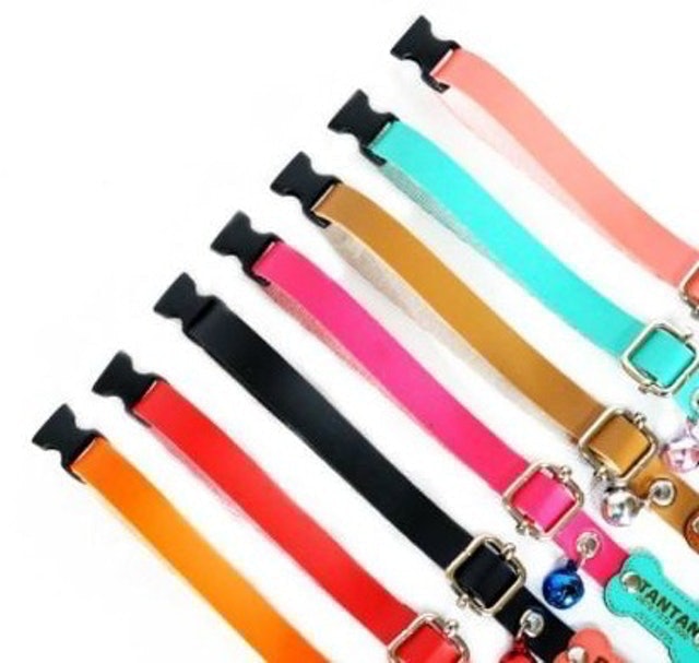  Pet Tag Collar Set Custom