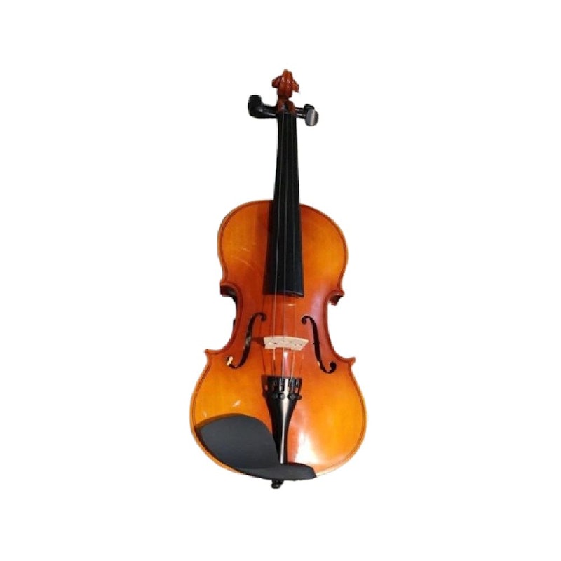 STAINER Violin Outfit 3/4 1