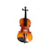 null STAINER Violin Outfit 3/4 1