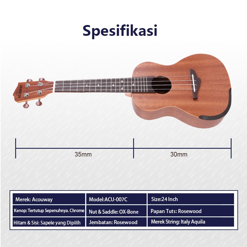 Ukulele Concerto 5