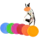 Silicone Frisbee Dog Toys 1