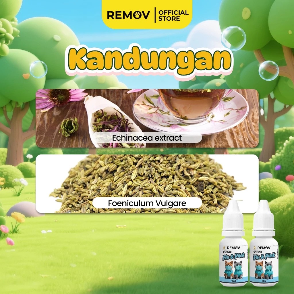 Remov Obat Flu & Pilek 3