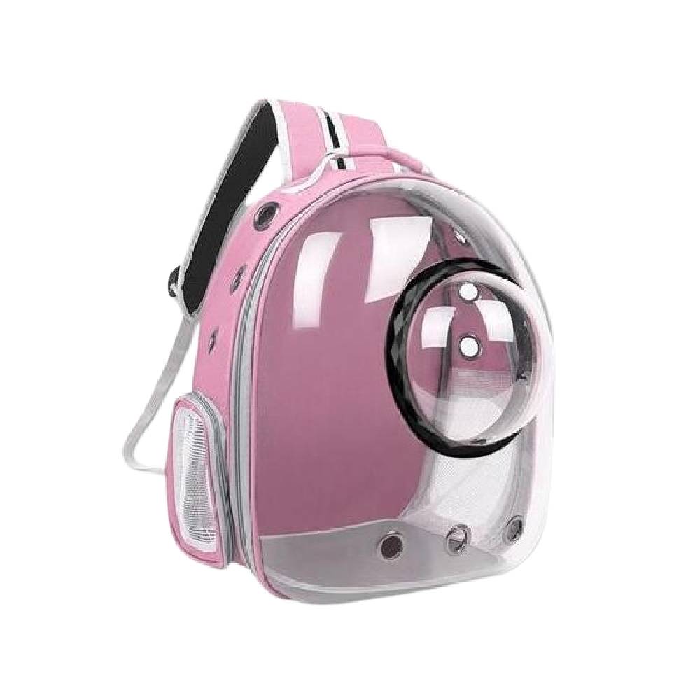10 Rekomendasi Pet Carrier untuk Kucing Terbaik (Terbaru Tahun 2026) 3