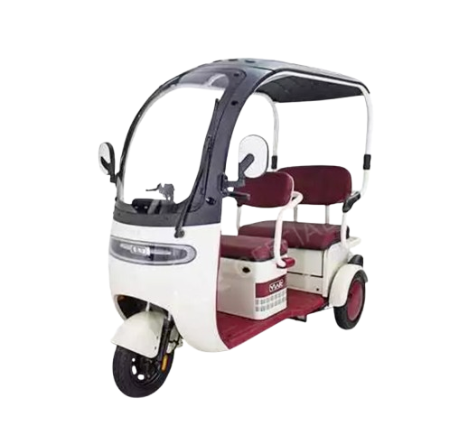 Viar Sepeda Listrik Roda 3  ｜ EV2