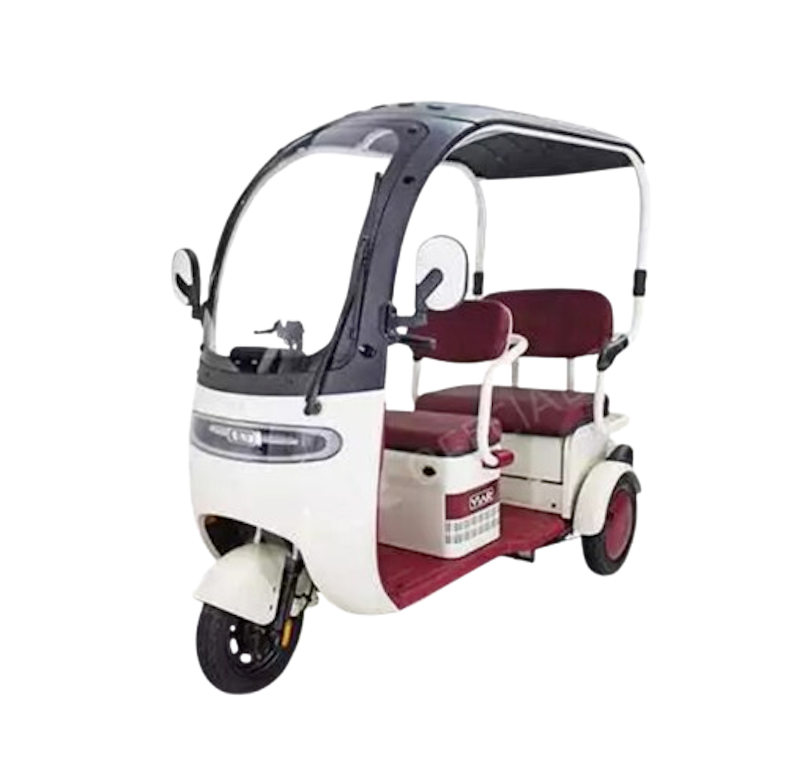 Viar Sepeda Listrik Roda 3 1
