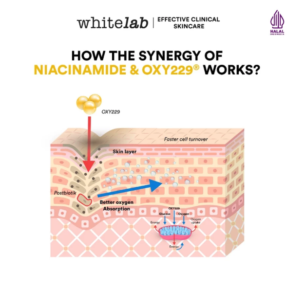 Whitelab Brightening Night Cream