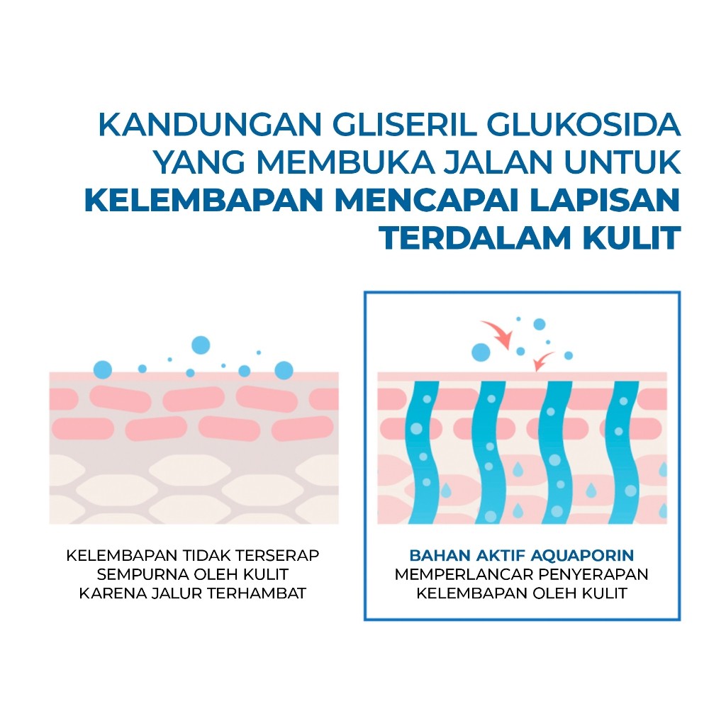 CVC Capital Round Lab Birch Juice Moisturizing Sunscreen SPF 50+ PA++++