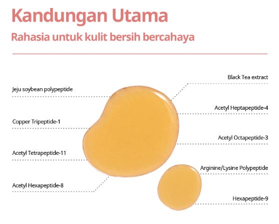 Innisfree  Black Tea Treatment Essence
