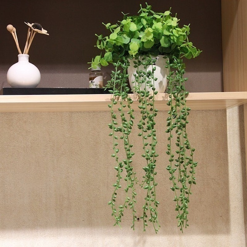 Daun Rambat Plastik Aglonema 4