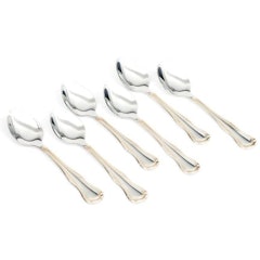 Sendok Teh / Tea Spoon Set