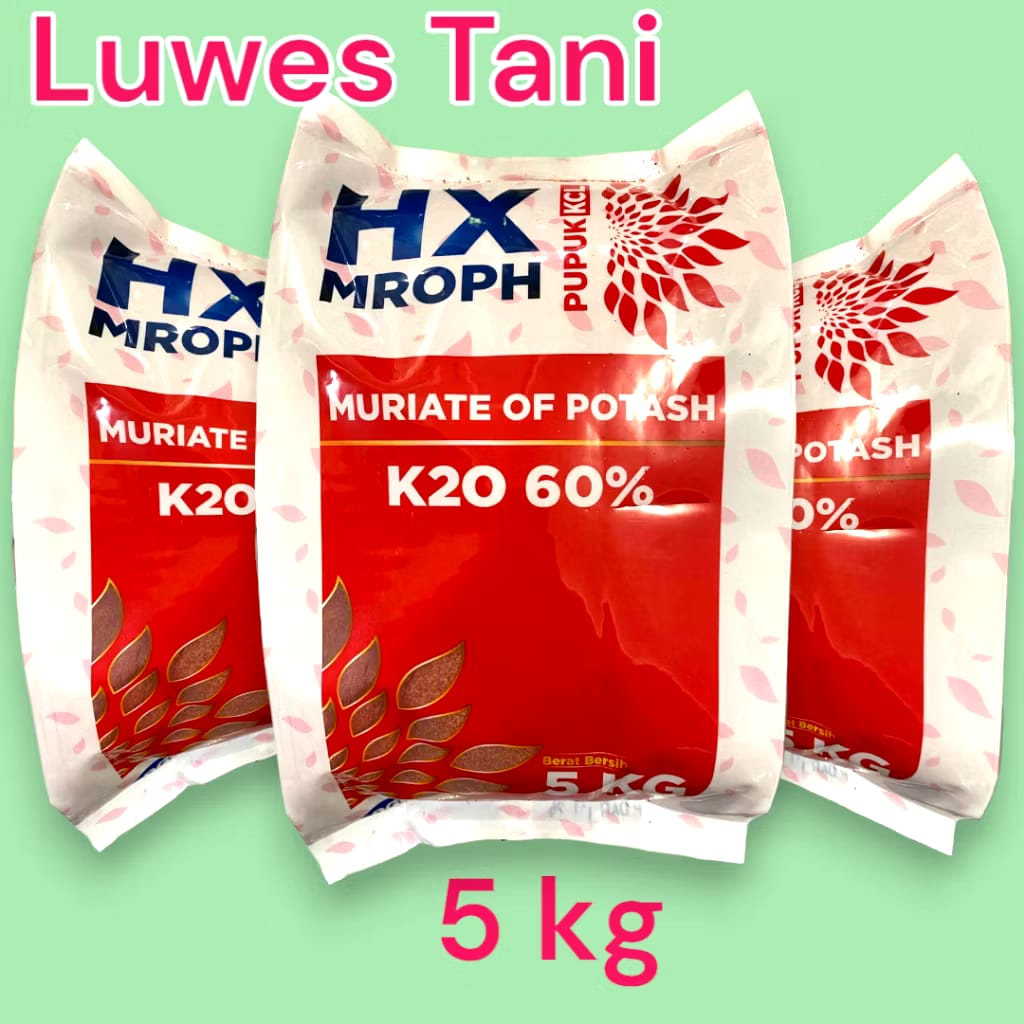 DGW Fertilizer HX-MROPH Pupuk KCL 5 Kg
