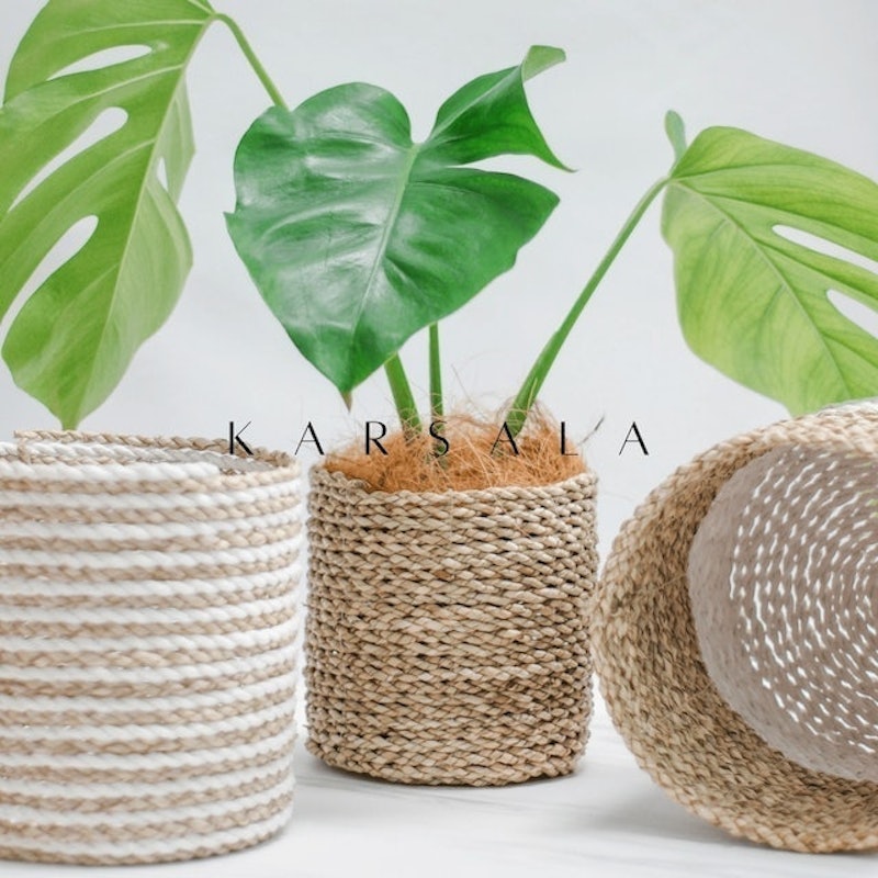 Lolly Cover Pot 1
