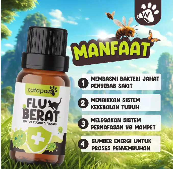  Catapaw Flu Berat untuk Kucing & Anjing