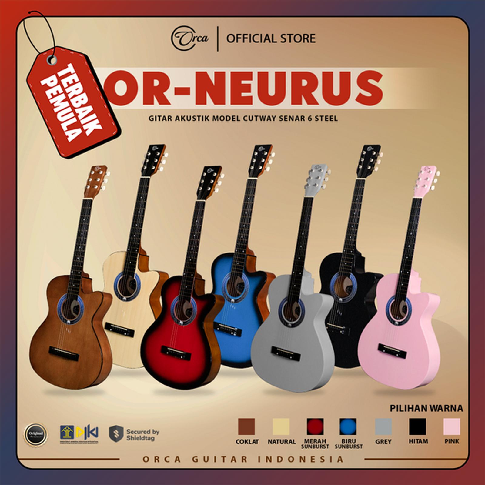 ORCA Or-Neurus Gitar Akustik Pemula 5