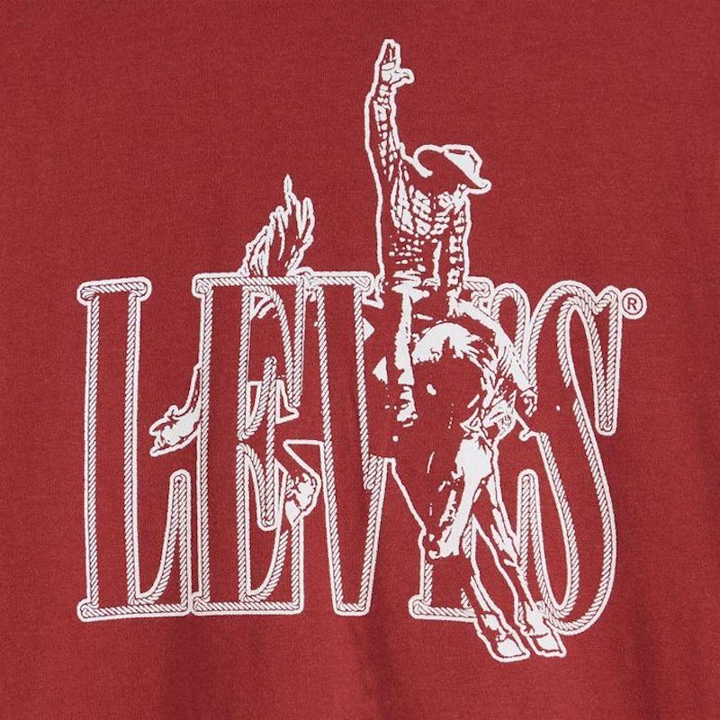 Levi's® Men's Long-Sleeve Graphic Authentic T-Shirt 4