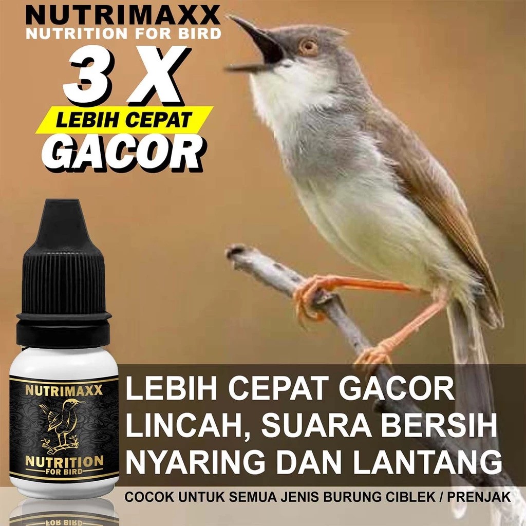  Nutrimaxx Vitamin Penggacor Prenjak