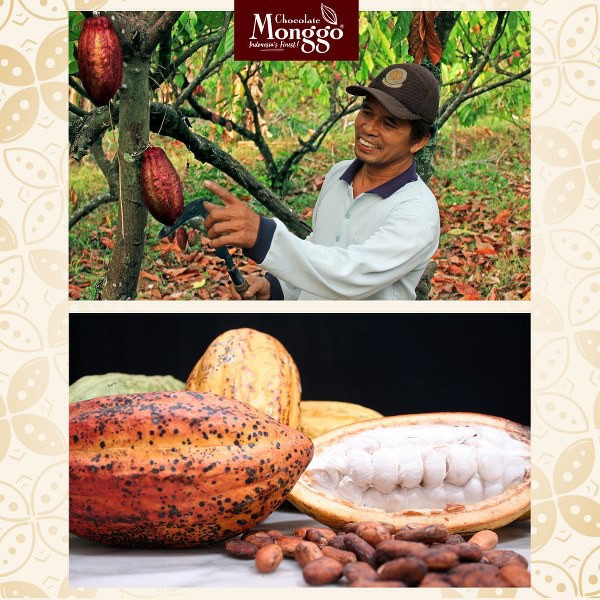 Chocolate Monggo  Energy Bar Granola